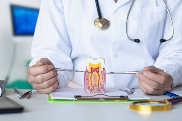 Best Walk-In Emergency Dentist in East Camden, SC
